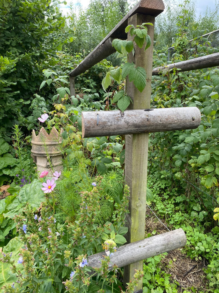 Wooden raspberry supports